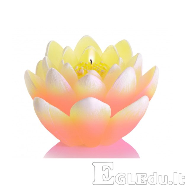 LELIJOS ŽVAKĖ SU DIODU - GELTONA