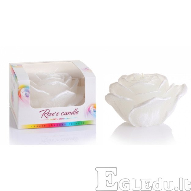 ROŽĖ ŽVAKĖ SU DIODU 125x75mm - BALTA