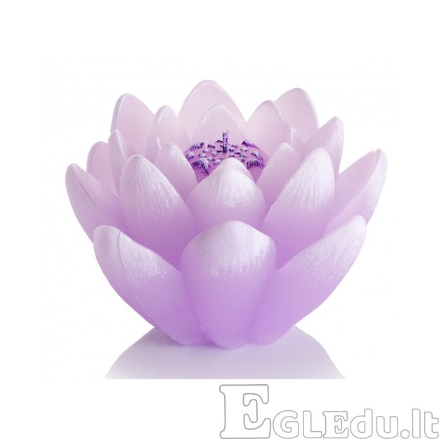LELIJOS ŽVAKĖ SU DIODU - VIOLETINĖ 1