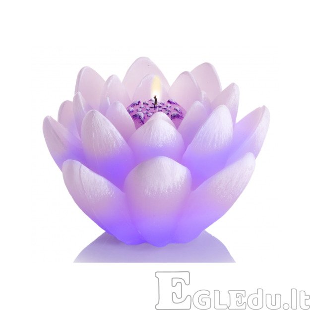 LELIJOS ŽVAKĖ SU DIODU - VIOLETINĖ