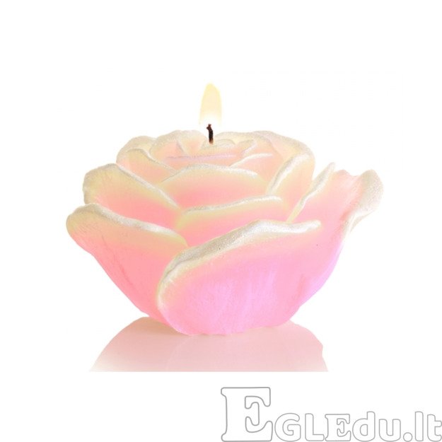 ROŽĖ ŽVAKĖ SU DIODU 125x75 mm - SMĖLINĖ 2