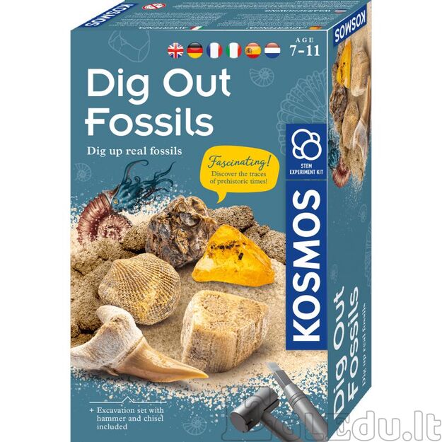 Lavinamasis rinkinys DIG OUT FOSSILS 7-10