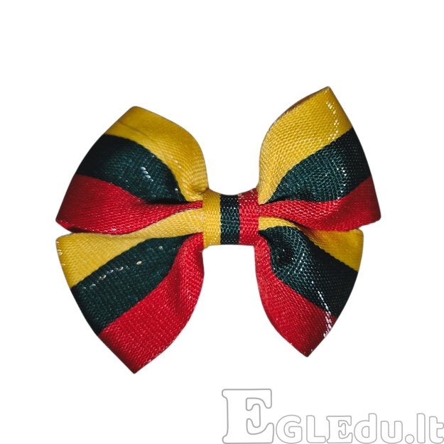 Sagė į atlapą. Trispalvė. Lietuva