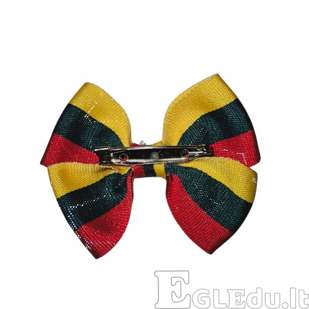 Sagė į atlapą. Trispalvė. Lietuva 1