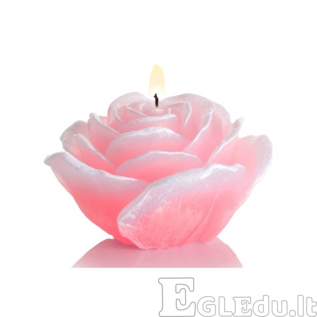 ROŽĖ ŽVAKĖ SU DIODU 125x75 mm - ROŽINĖ 2