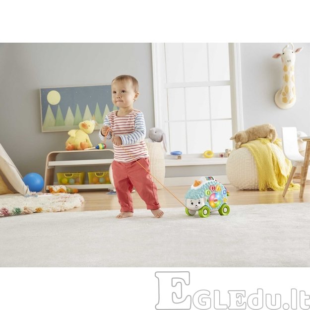 FISHER-PRICE Linkimals muzikinis-interaktyvus Ežiukas LT 1