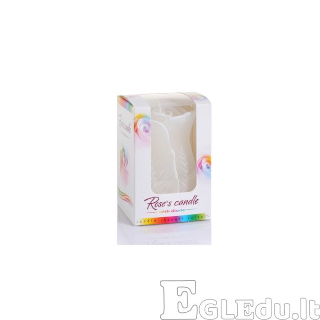 ROŽĖ ŽVAKĖ SU DIODU 75x125 mm - BALTA