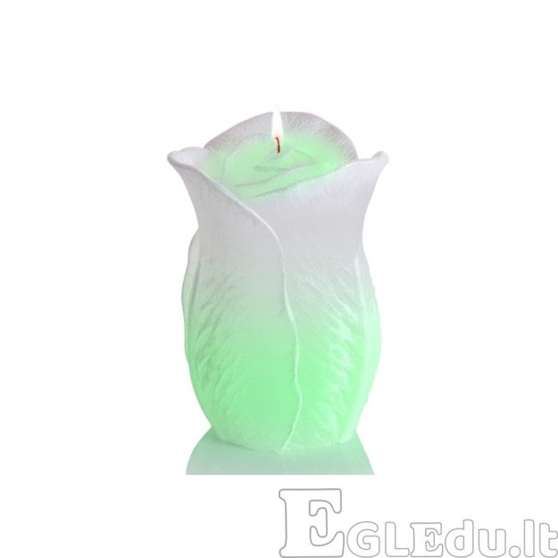 ROŽĖ ŽVAKĖ SU DIODU 75x125 mm - BALTA 2