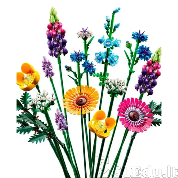 Lauko gėlės, konstruktorius 1