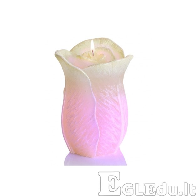 ROŽĖ ŽVAKĖ SU DIODU 75x125 mm - SMĖLINĖ 2