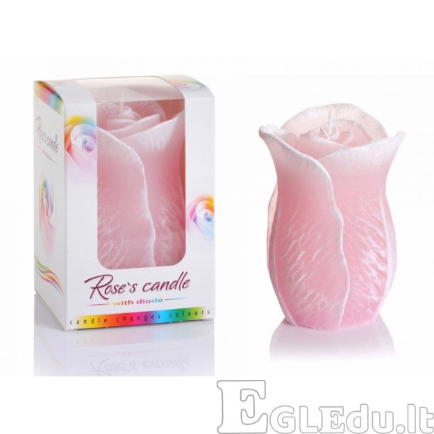 ROŽĖ ŽVAKĖ SU DIODU 75x125 mm - ROŽINĖ