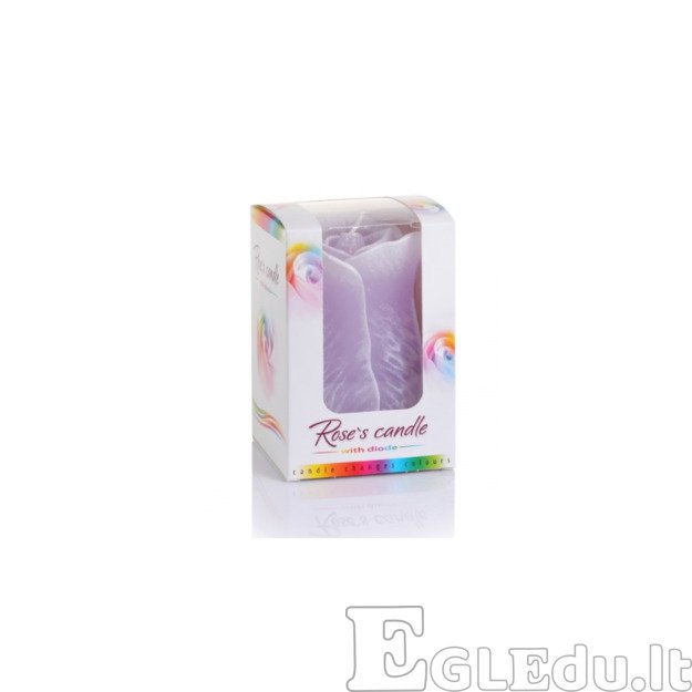 ROŽĖ ŽVAKĖ SU DIODU 75x125 mm - VIOLETINĖ 2