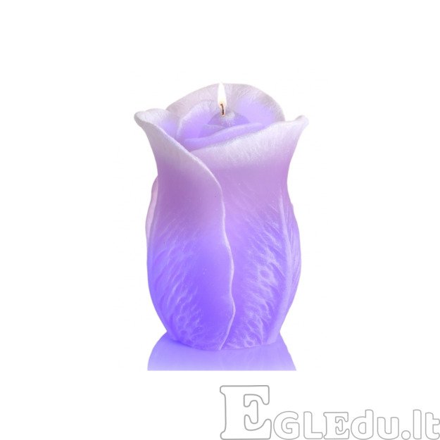 ROŽĖ ŽVAKĖ SU DIODU 75x125 mm - VIOLETINĖ 3