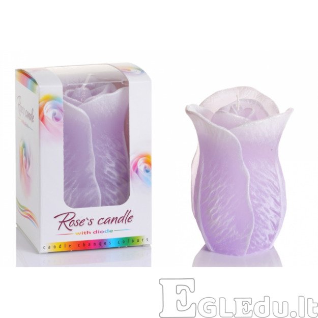 ROŽĖ ŽVAKĖ SU DIODU 75x125 mm - VIOLETINĖ