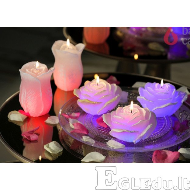 ROŽĖ ŽVAKĖ SU DIODU 75x125 mm - VIOLETINĖ 1