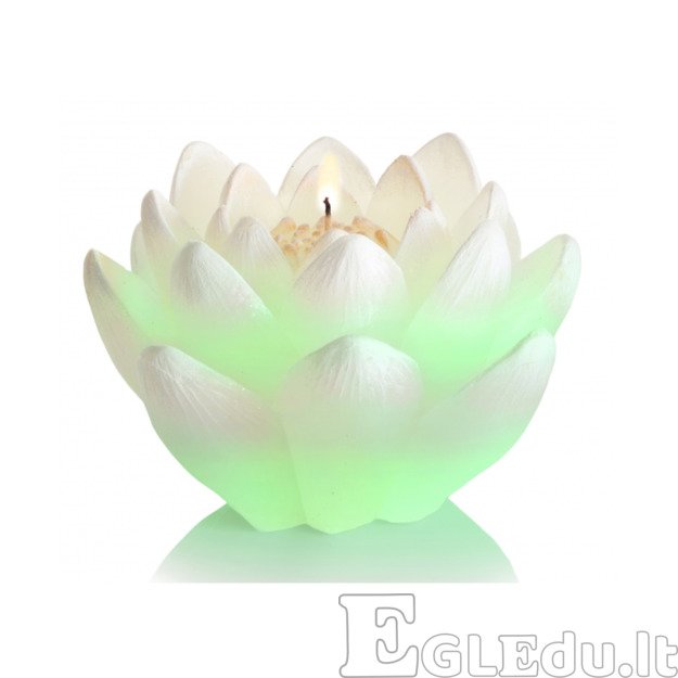 LELIJOS ŽVAKĖ SU DIODU - BALTA 1